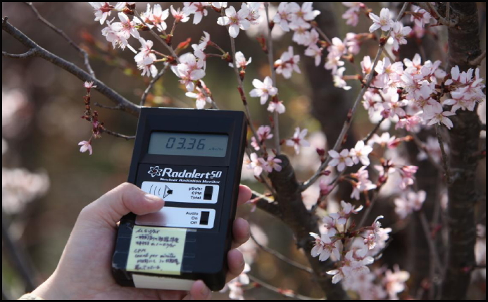 <사진, 2011년4월16일 사고원전에서 60km 떨어진 후쿠시마 현 후쿠시마 시 하나미야마(花見山)에 꽃들이 활짝 피었다. 시민들을 유혹하는 花見山의 방사능이 3.66 µSv(마이크로시버트)로 검측되었다. 연간노출한계를 시간당으로 환산한 0.11을 33배 초과한 심각한 오염도다. 사진 환경보건시민센터>